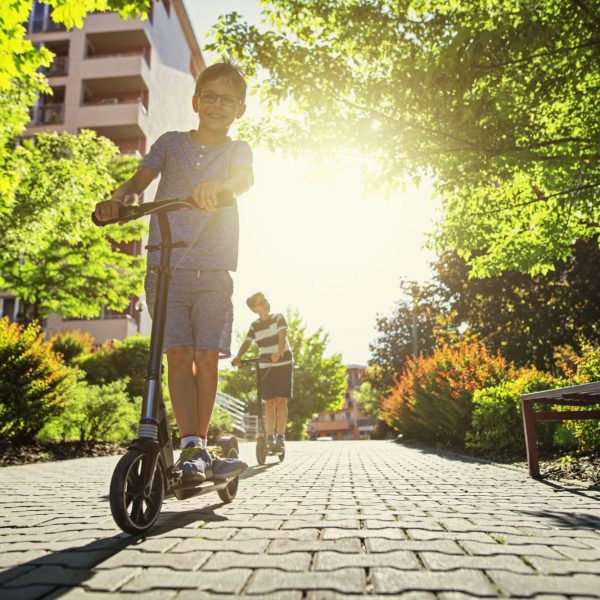 more green, generous interior gardens, the home that brings joy into life, h4l, home 4 life mai mult verde, gradini interioare de mari dimensiuni, casa care insflueteste viata, h4l, home 4 life